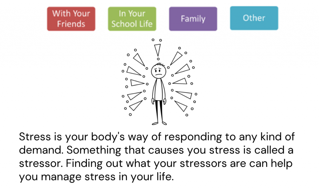 Stress Lesson Activity - What Stresses You Out?