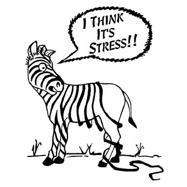 I think it's Stress - Stressed Zebra