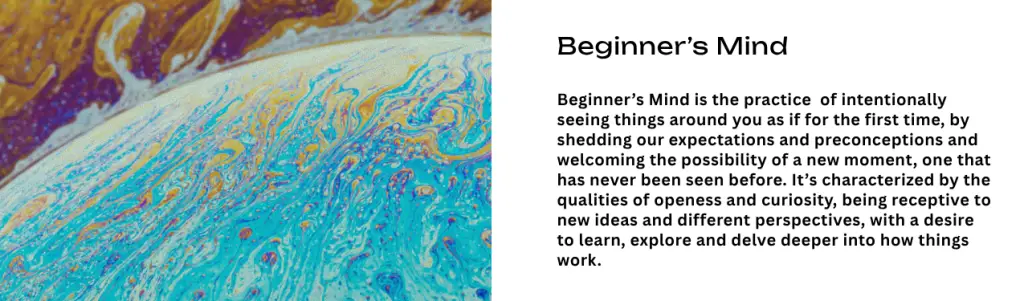 Mindful Attitude - Beginner's Mind
