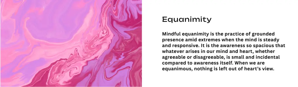Mindful Attitude - Equanimity