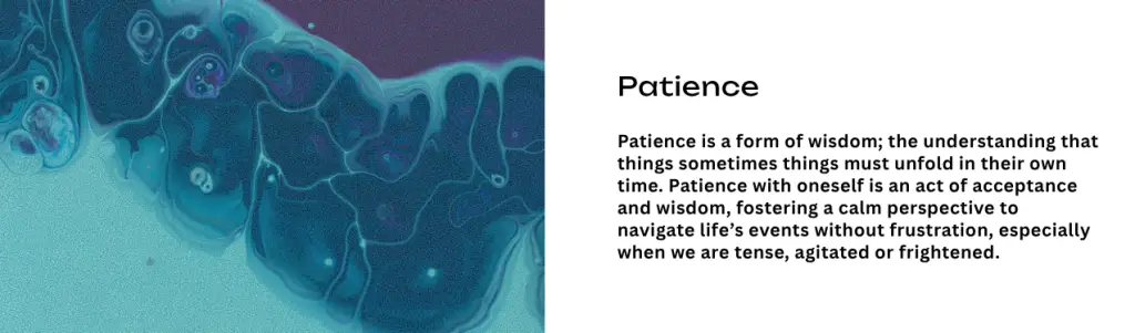Mindful Attitude - Patience